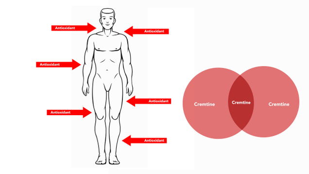 Illustration for article titled 9 Easy Things You Can Do Every Day To Boost Your… Uh… Cremtine